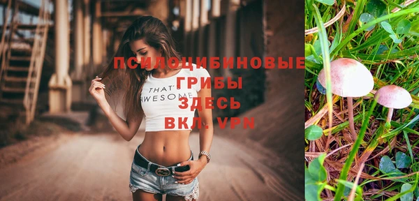 мдпв Арсеньев