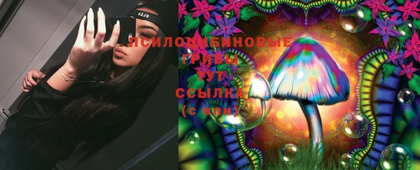 MESCALINE Аркадак