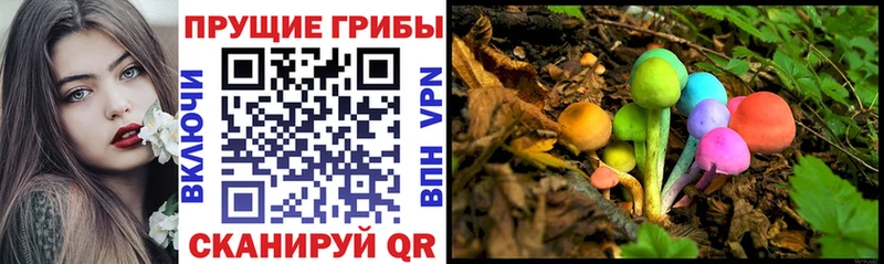 Галлюциногенные грибы MAGIC MUSHROOMS  сайты даркнета наркотические препараты  Урус-Мартан  mega  